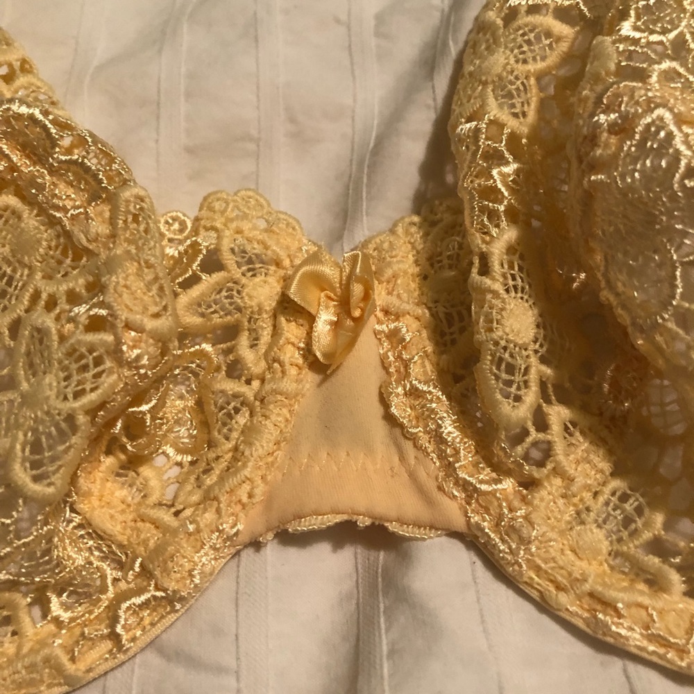 Triumph International Valisere yellow embroidered lace bra 32D NWT